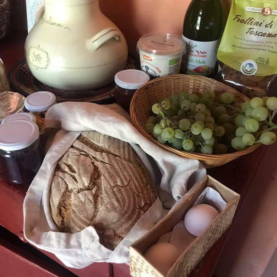 Bioagriturismo Poderaccio Incisa in Val d'Arno Extérieur photo